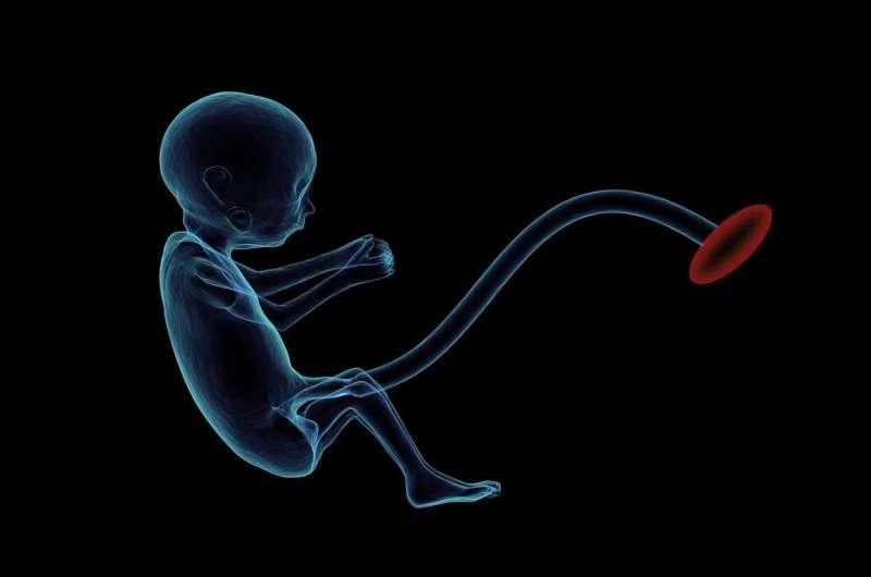 研究提供了关于金属暴露如何影响胎儿生长的新见解