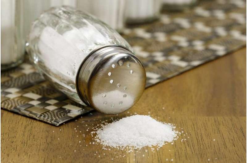 新研究表明孩子可以帮助家庭减少盐摄入量