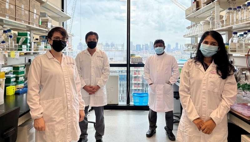 2月17日研究发现为什么患有阿尔茨海默病的女性记忆力下降更快