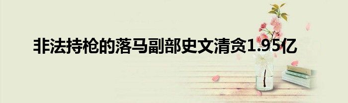 非法持枪的落马副部史文清贪1.95亿