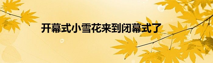 开幕式小雪花来到闭幕式了