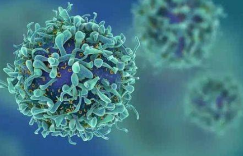 2月22日对癌细胞的新研究有助于提高化疗效果