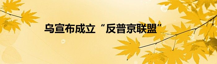 乌宣布成立“反普京联盟”