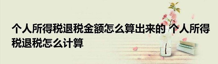 个人所得税退税金额怎么算出来的 个人所得税退税怎么计算