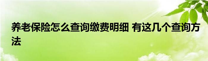 养老保险怎么查询缴费明细 有这几个查询方法