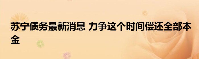 苏宁债务最新消息 力争这个时间偿还全部本金