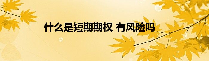 什么是短期期权 有风险吗
