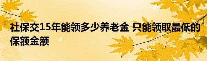 社保交15年能领多少养老金 只能领取最低的保额金额