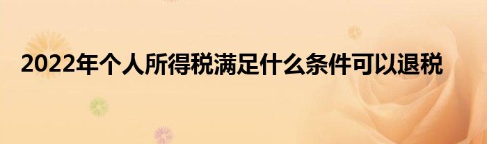 2022年个人所得税满足什么条件可以退税