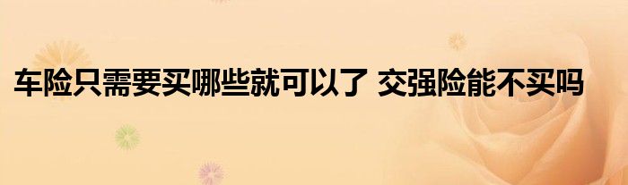 车险只需要买哪些就可以了 交强险能不买吗