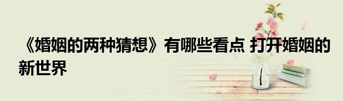 《婚姻的两种猜想》有哪些看点 打开婚姻的新世界