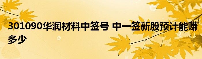 301090华润材料中签号 中一签新股预计能赚多少