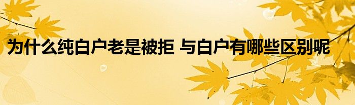 为什么纯白户老是被拒 与白户有哪些区别呢