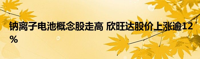 钠离子电池概念股走高 欣旺达股价上涨逾12%