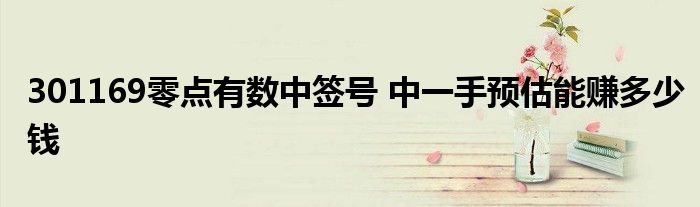 301169零点有数中签号 中一手预估能赚多少钱