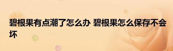 碧根果有点潮了怎么办 碧根果怎么保存不会坏