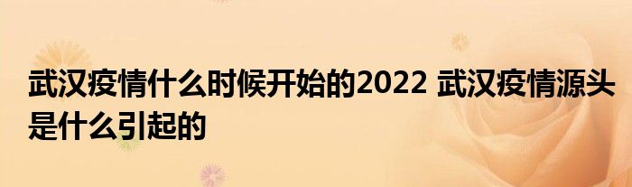 武汉疫情什么时候开始的2022 武汉疫情源头是什么引起的