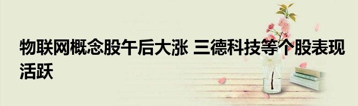 物联网概念股午后大涨 三德科技等个股表现活跃