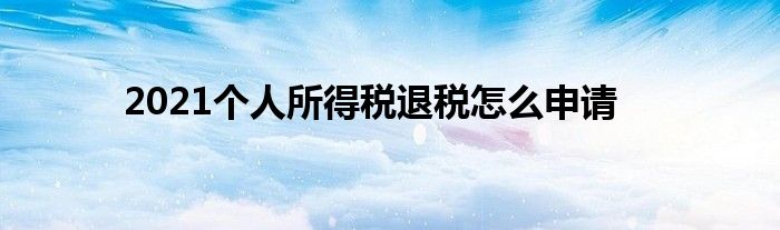 2021个人所得税退税怎么申请