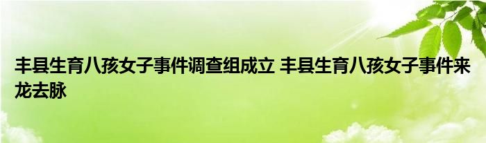 丰县生育八孩女子事件调查组成立 丰县生育八孩女子事件来龙去脉