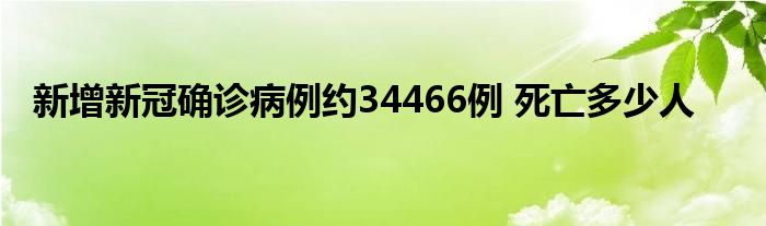 新增新冠确诊病例约34466例 死亡多少人