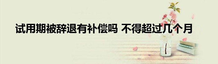 试用期被辞退有补偿吗 不得超过几个月