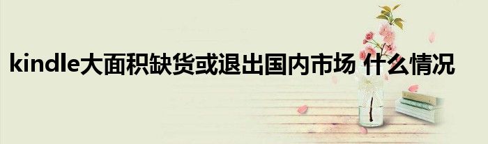 kindle大面积缺货或退出国内市场 什么情况