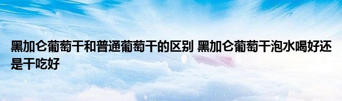 黑加仑葡萄干和普通葡萄干的区别 黑加仑葡萄干泡水喝好还是干吃好