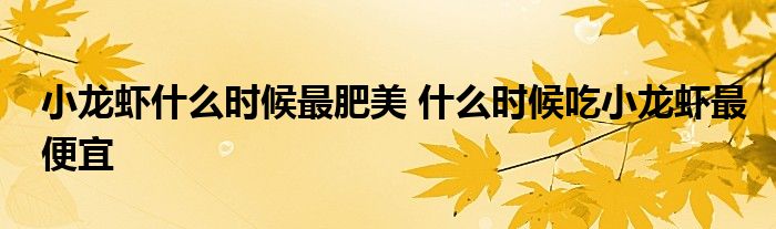 小龙虾什么时候最肥美 什么时候吃小龙虾最便宜