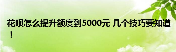 花呗怎么提升额度到5000元 几个技巧要知道！