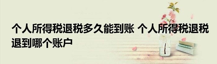 个人所得税退税多久能到账 个人所得税退税退到哪个账户