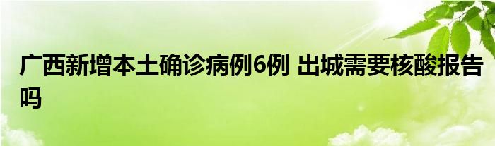 广西新增本土确诊病例6例 出城需要核酸报告吗