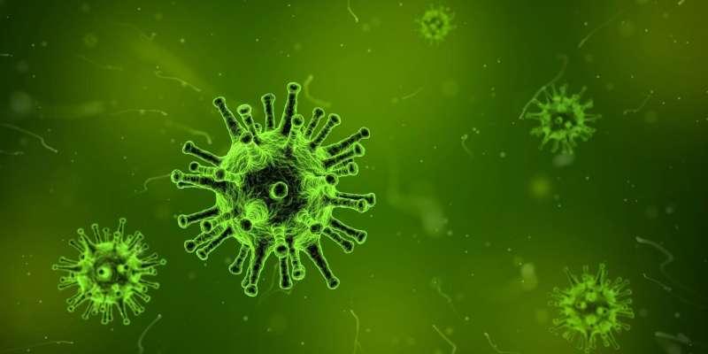 3月1日研究发现病毒引发自身免疫的新方法