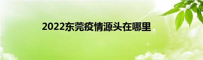 2022东莞疫情源头在哪里