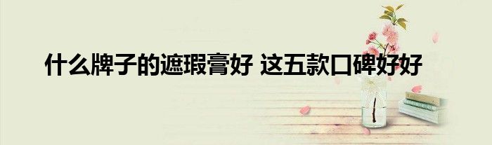 什么牌子的遮瑕膏好 这五款口碑好好