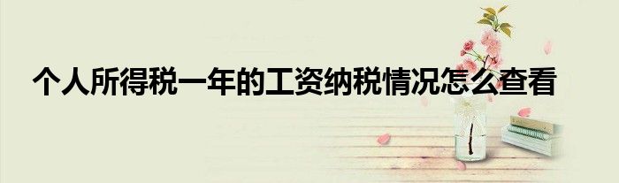 个人所得税一年的工资纳税情况怎么查看