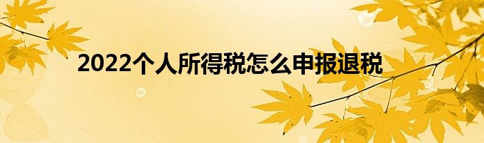 2022个人所得税怎么申报退税