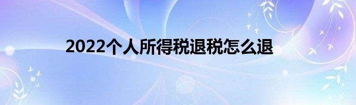 2022个人所得税退税怎么退