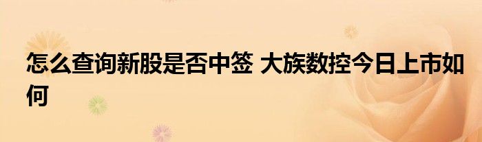 怎么查询新股是否中签 大族数控今日上市如何