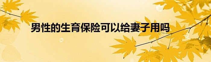 男性的生育保险可以给妻子用吗