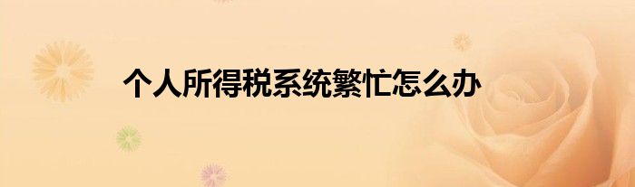 个人所得税系统繁忙怎么办