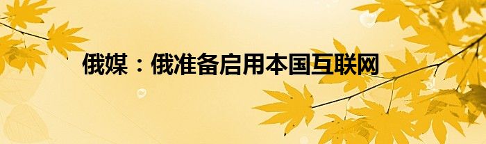 俄媒：俄准备启用本国互联网