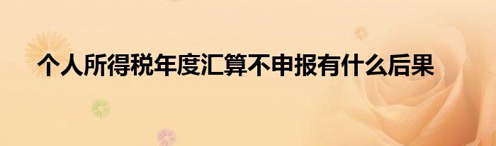 个人所得税年度汇算不申报有什么后果