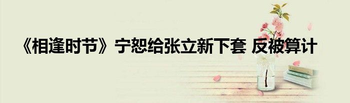 《相逢时节》宁恕给张立新下套 反被算计