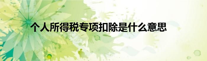 个人所得税专项扣除是什么意思