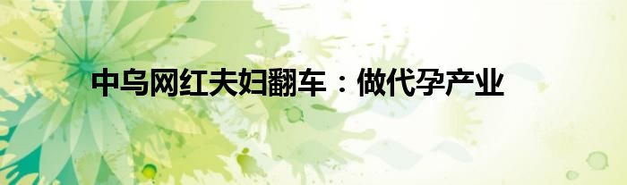 中乌网红夫妇翻车：做代孕产业