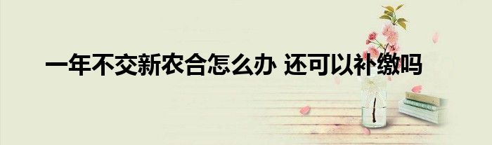 一年不交新农合怎么办 还可以补缴吗