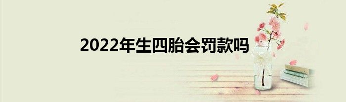 2022年生四胎会罚款吗