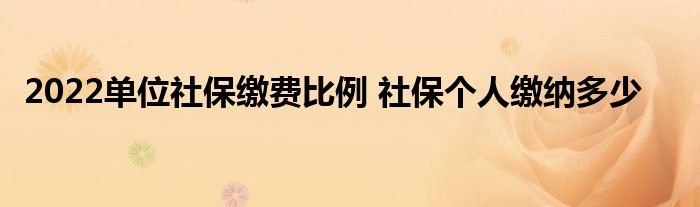 2022单位社保缴费比例 社保个人缴纳多少