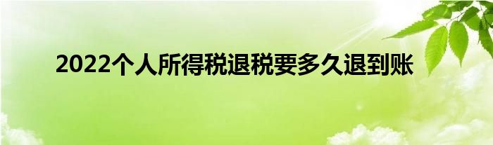 2022个人所得税退税要多久退到账